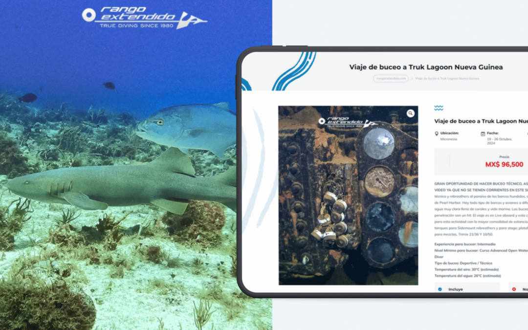 Diseño web eCommerce de Rango Extendido