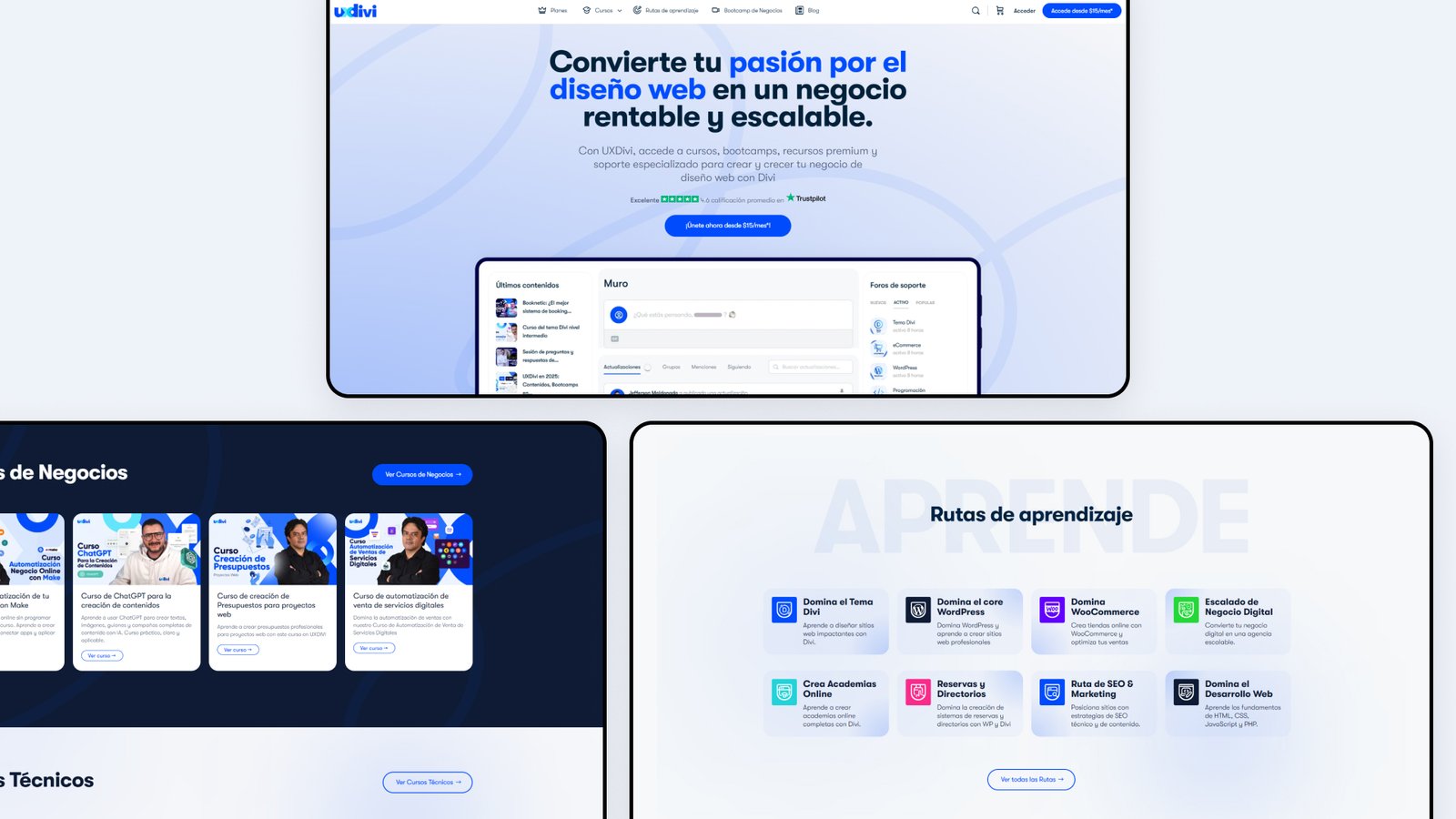 Proyecto de Diseño web eLearning y comunidad UXDivi